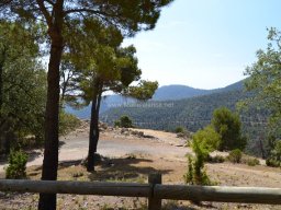 Valle de Leiva-Perdiz 2010